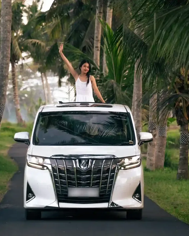 Private transfer vehicle on a palm-lined road in Bali