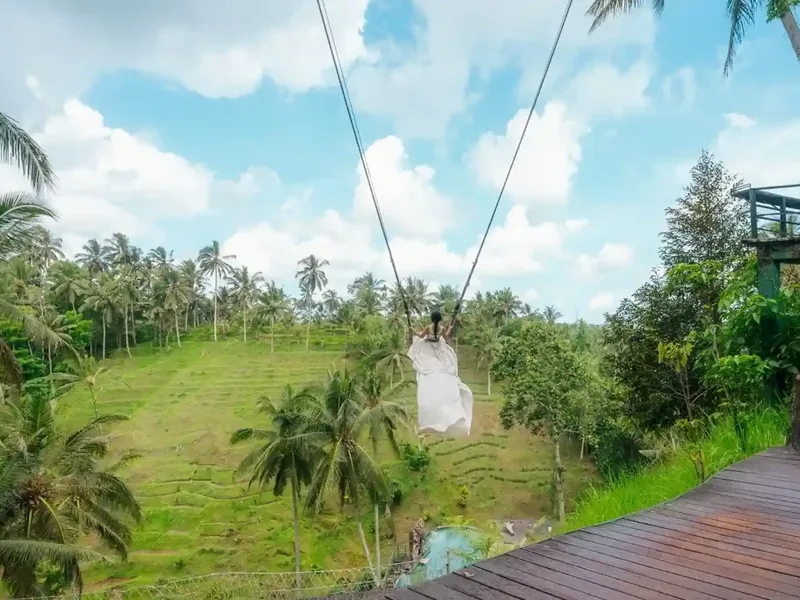 Swing over the rice terraces near Ubud