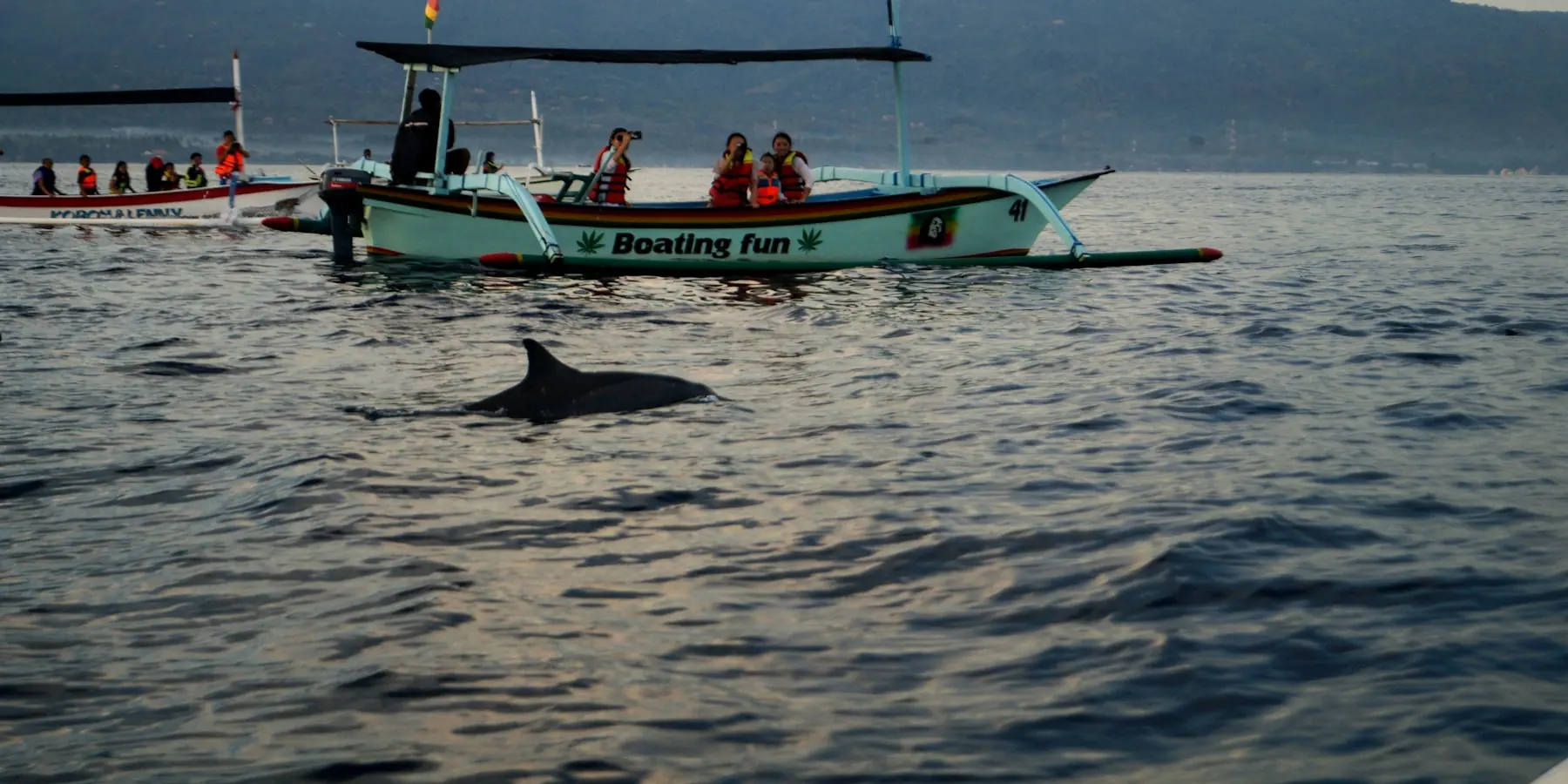 Traditional outrigger boat and a dolphin off Lovina, north Bali